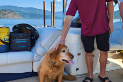 Shuswap Marina