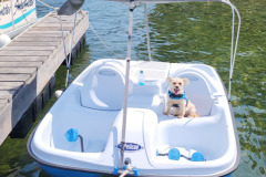 Paddle sports 