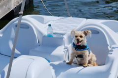 Paddle sports 