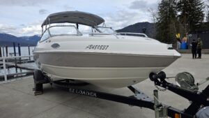 Stingray 195 Cuddy - $18,900
